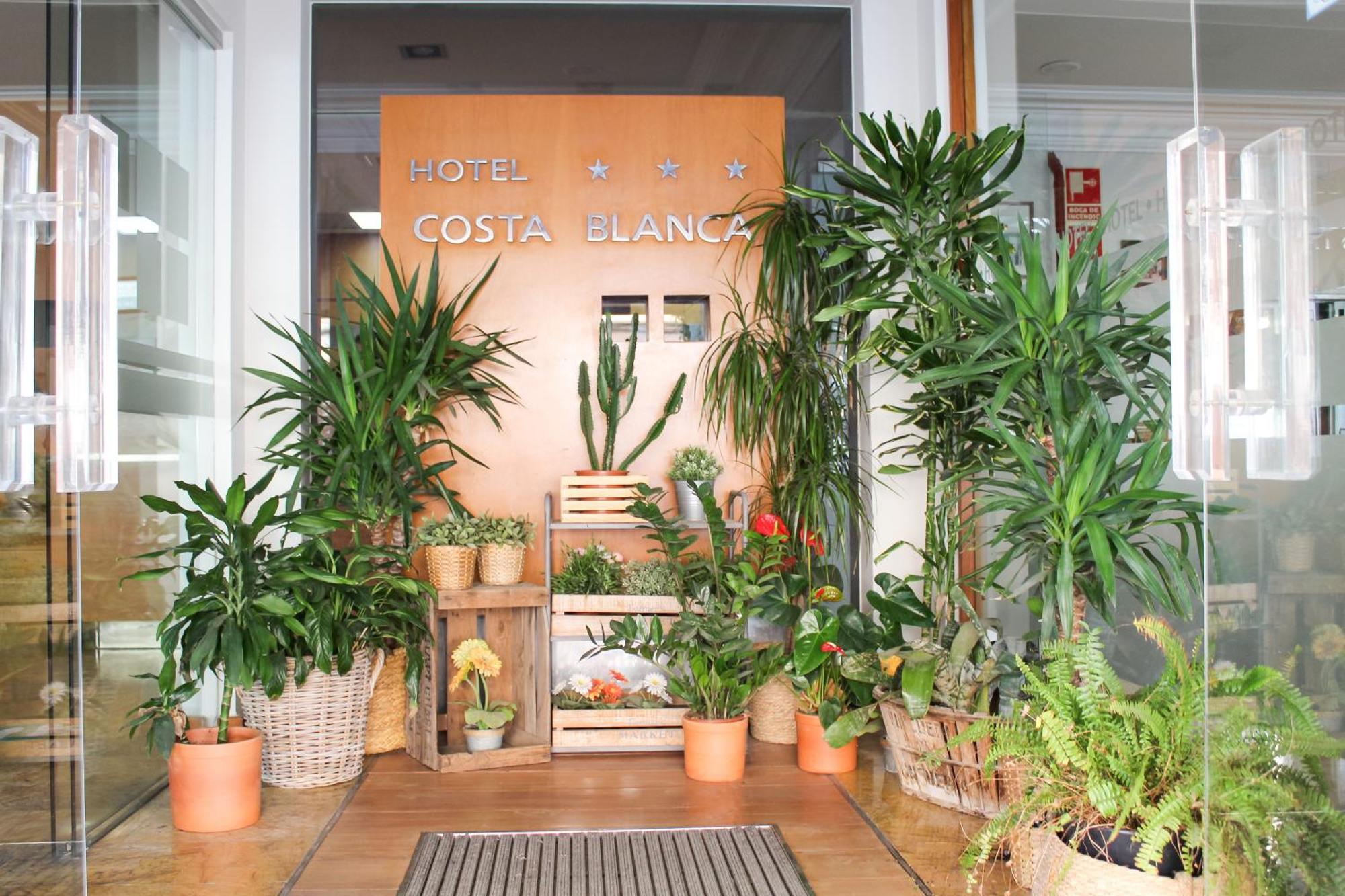 Hotel Mr Costa Blanca 데니아 외부 사진